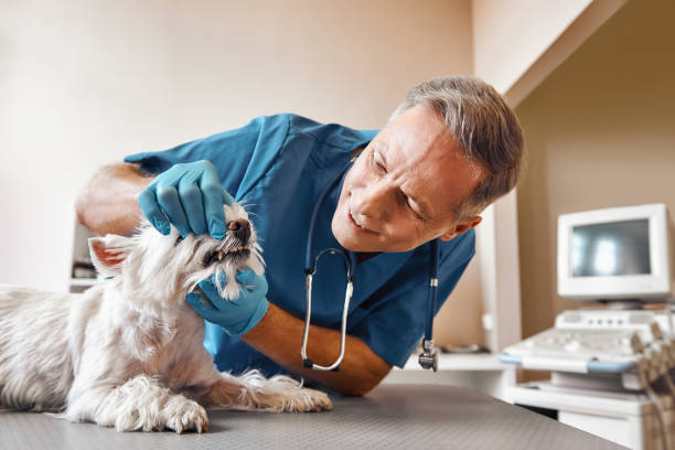 Best Emergency Root Canal Treatment in Keasbey, NJ